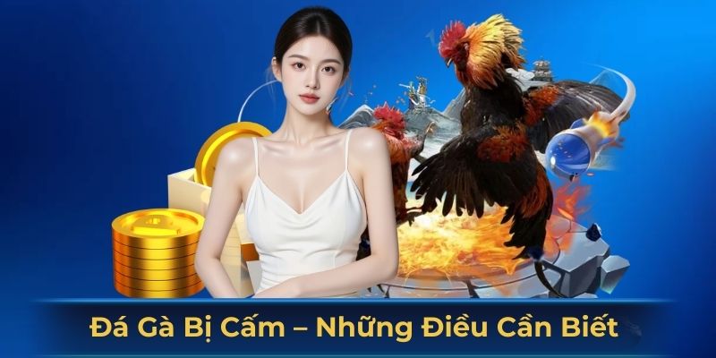 đá gà bị cấm